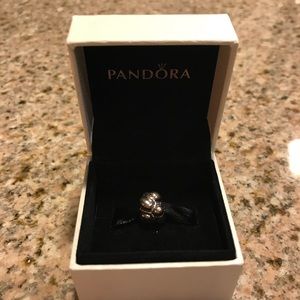 Authentic Pandora Sterling Silver Journey Charm